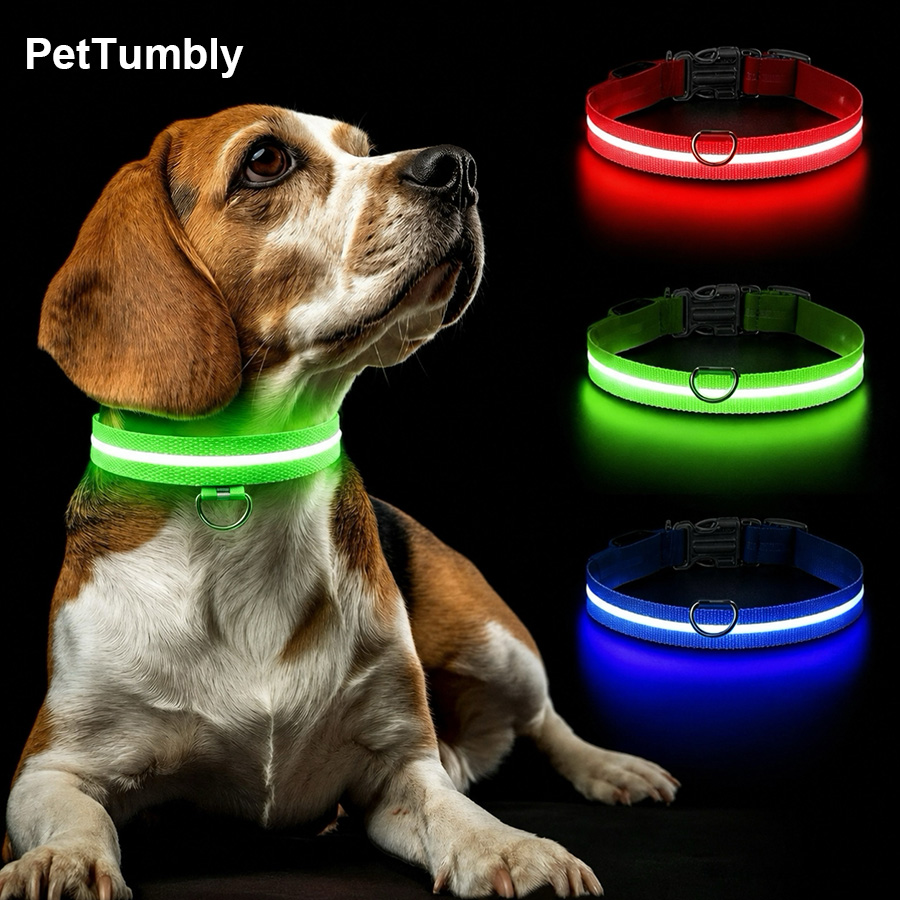Tech Dog Accessories - 3 Modes Dog Luminous Charge Collar