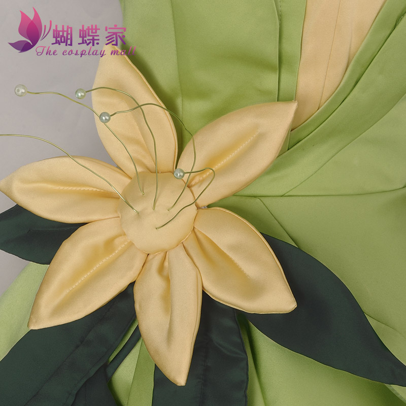 Princess Tiana Dress Cosplay C - Tech Hair Accessories review and price