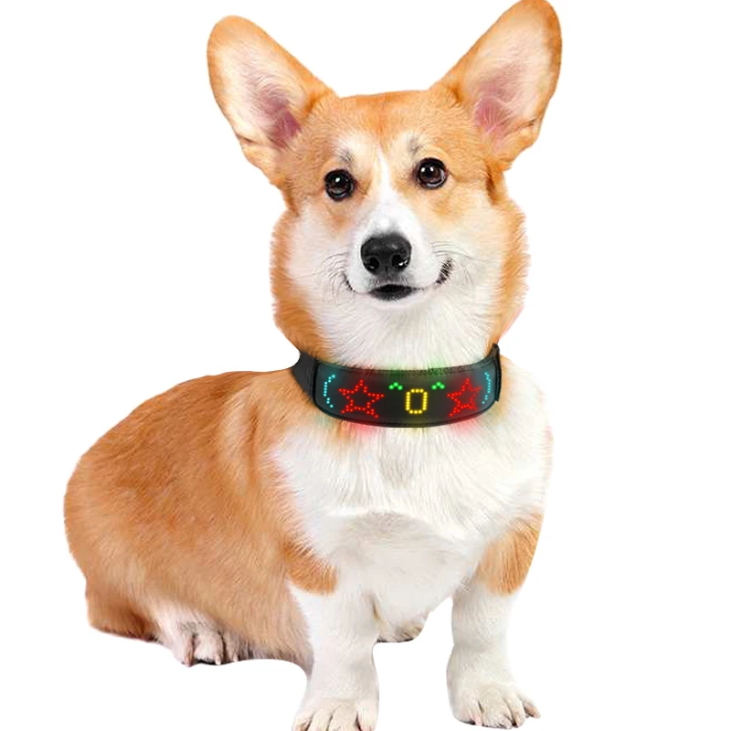 Multicolor Pet LED Dog Collars - Tech Dog Accessories review and price