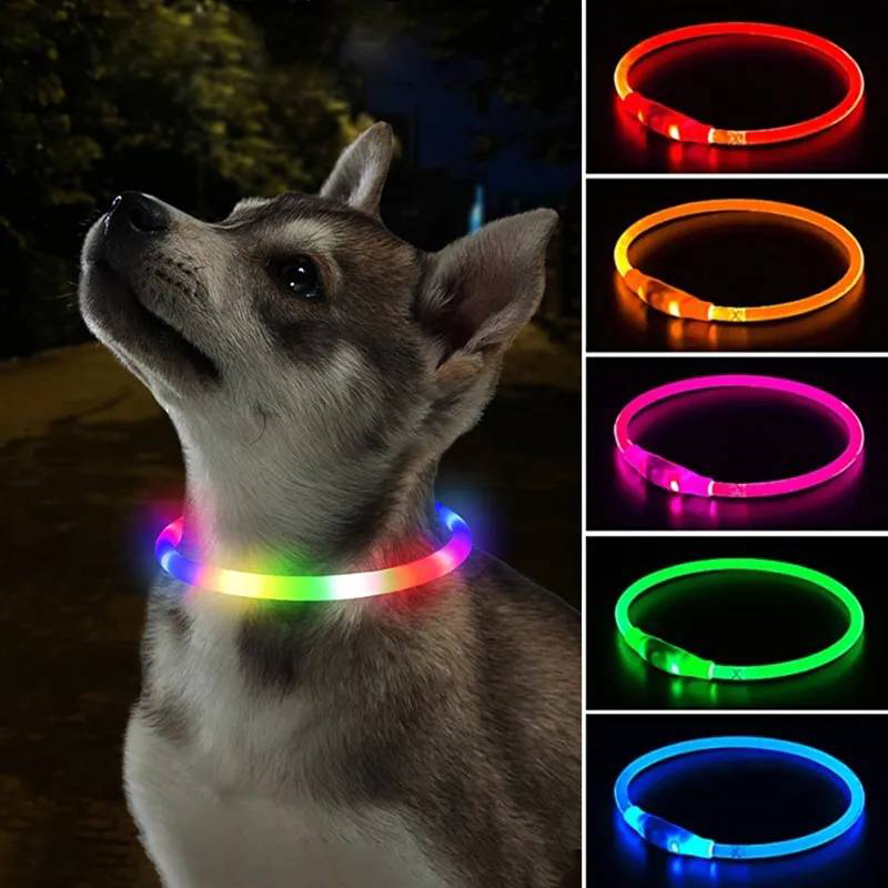 3 Modes Dog Luminou Charge Col - Tech Dog Accessories review and price
