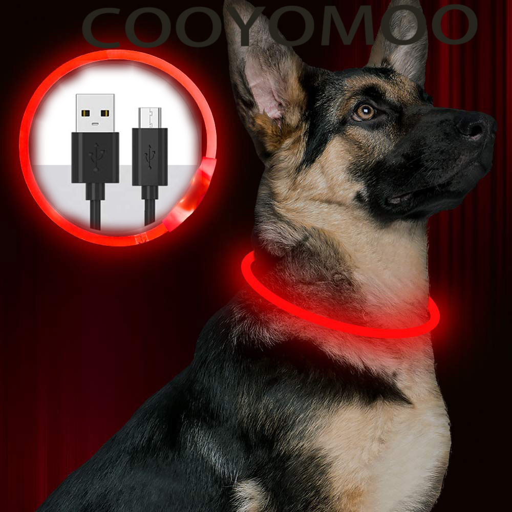 Silicone LED Dog Collar Rechar - Tech Dog Accessories review and price