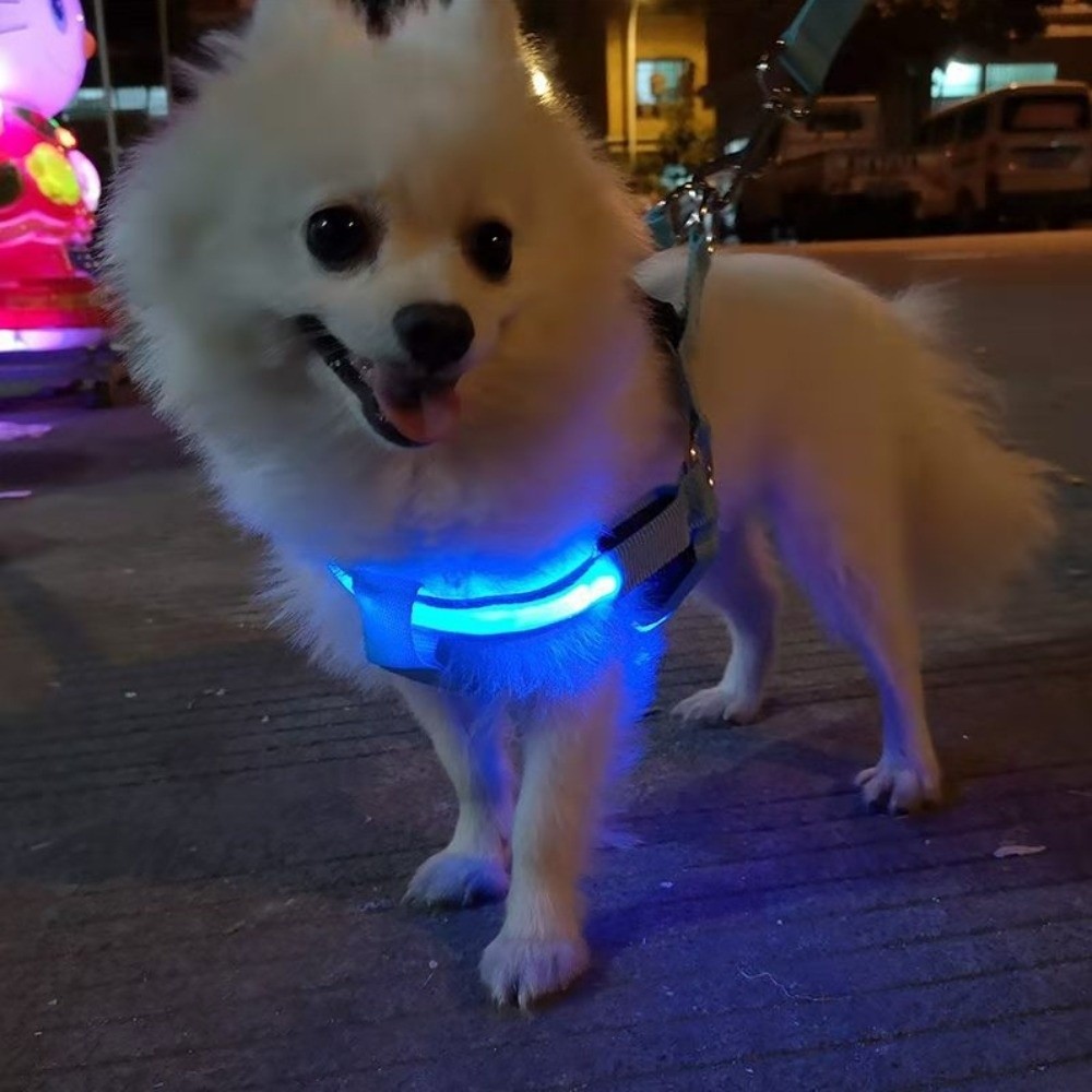Breathable Light Up LED Dog Ha - Tech Dog Accessories review and price
