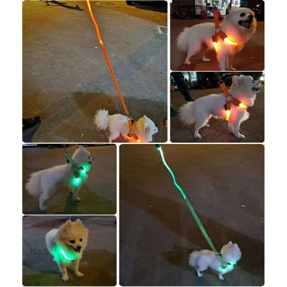 Breathable Light Up LED Dog Ha - Tech Dog Accessories review and price