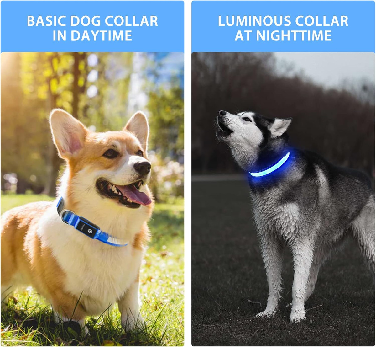 USB LED Dog Collar Lights - Ad - Tech Dog Accessories review and price