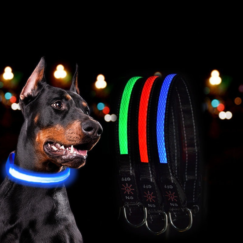 USB LED Dog Collar Lights - Ad - Tech Dog Accessories review and price