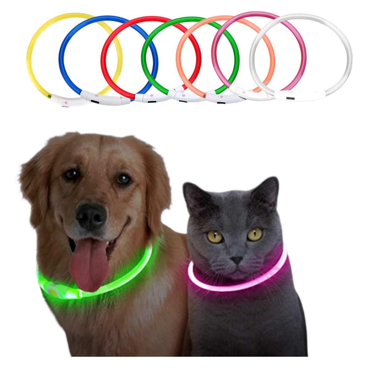 Led Light Dog Collar Detachabl - Tech Dog Accessories review and price