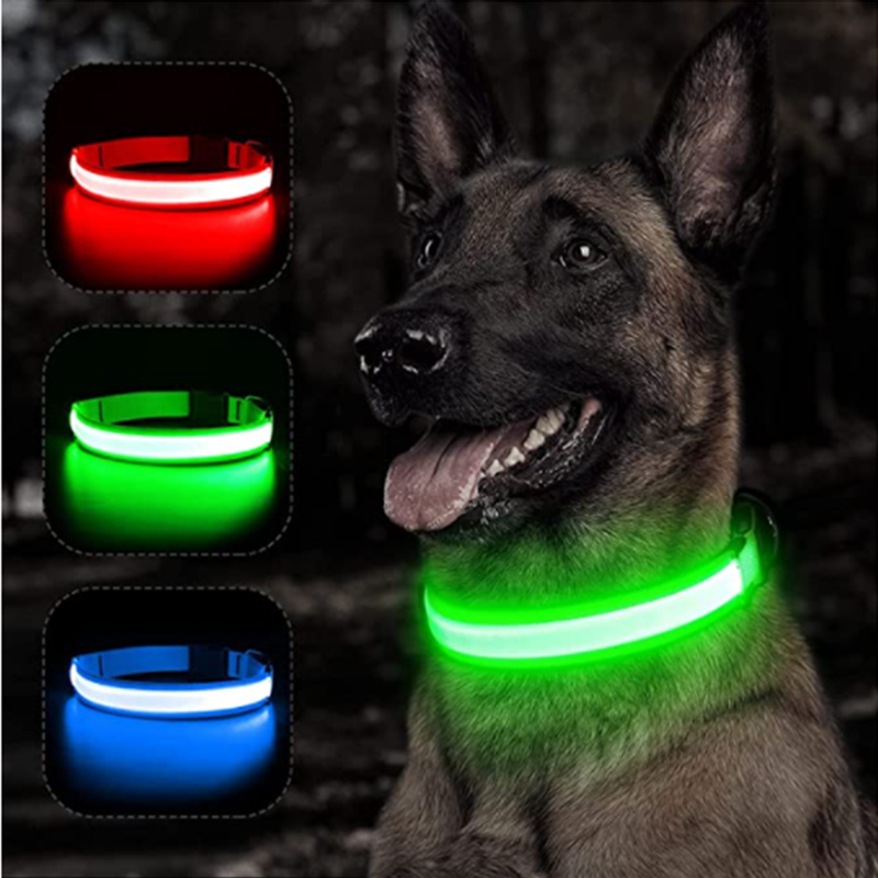 USB Rechargeable Luminous Coll - Tech Dog Accessories review and price