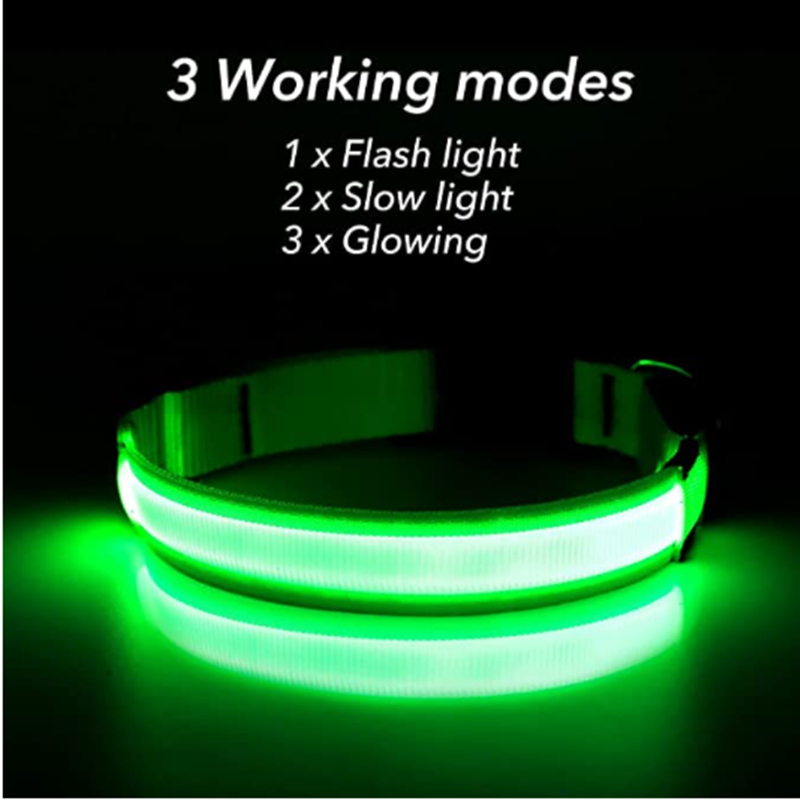 USB Rechargeable Luminous Coll - Tech Dog Accessories review and price