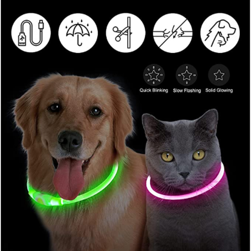 USB Rechargeable Luminous Coll - Tech Dog Accessories review and price