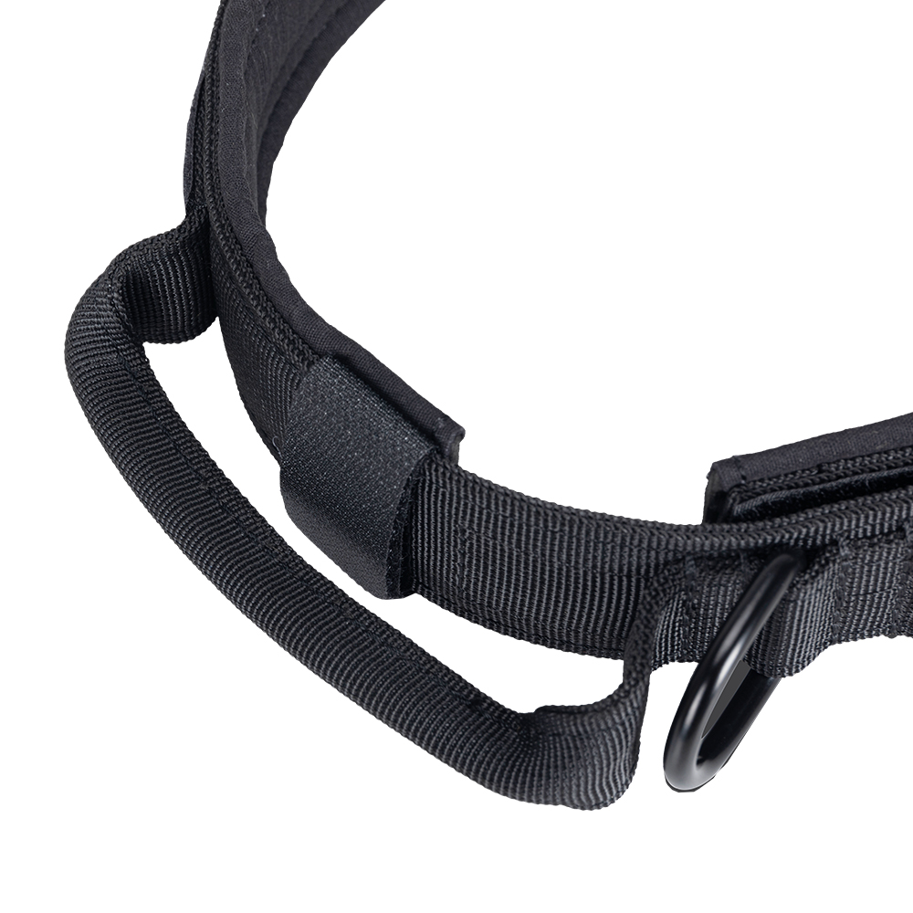 EXCELLENT ELITE SPANKER Dog Ta - Tech Dog Accessories review and price