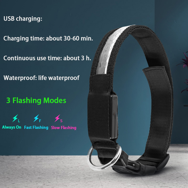 Engraved ID LED Dog Collar Lum - Tech Dog Accessories review and price