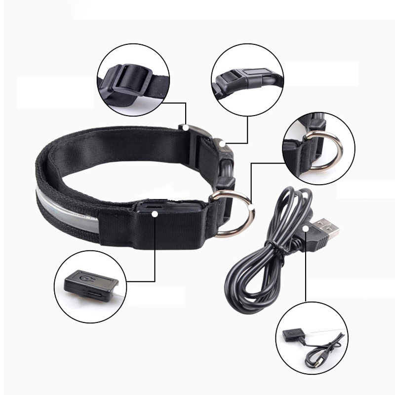 Engraved ID LED Dog Collar Lum - Tech Dog Accessories review and price